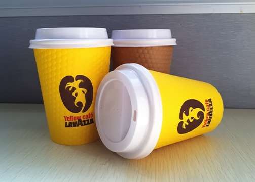 Delivering Quality Disposable Paper Cups to Global Markets Since 2002